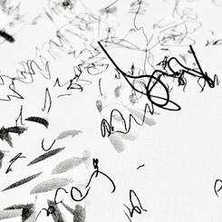 Garden Shadow Happenings (Dimensional) 2025.