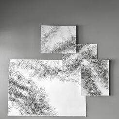 Backyard Shadow Happening (Evergreen ) Wall Installation No. 1