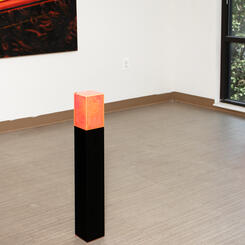 Neither Possessing nor Requiring Consciousness (Installation)