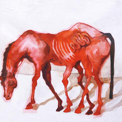 This Horse Has Too Many Legs