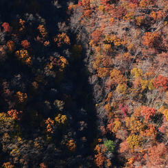 Gunpowder Shadow and Light