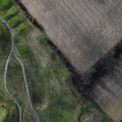 Gold Course and Field