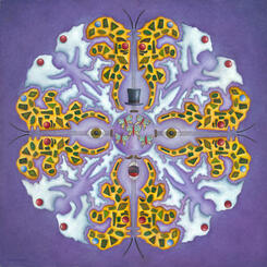 Butterflies & Guitars