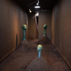 S E E D (Installation)