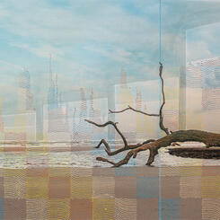 “How long will it take for the sea level to rise two feet? I mean, think about it, if your ice cube melts in your glass it doesn’t overflow; it’s displacement. I mean, this is some of the things they’re talking about mathematically and scientifically don’