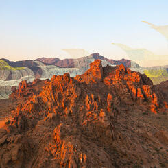  “There is no reason for these massive, deadly and costly forest fires in California except that forest management is so poor.” Vs6