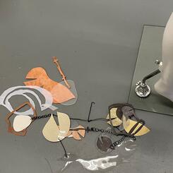 Shapes as conceptual elements