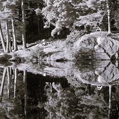 Reflection Across the Pond