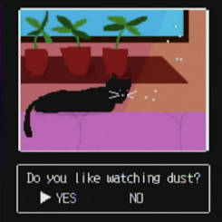 A cat watching dust 