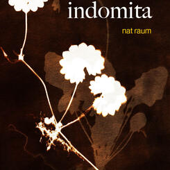 camera indomita cover