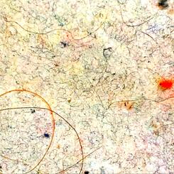 Linty Abstract Expressionism