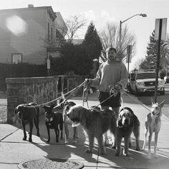 The Famous Dog Walker