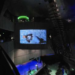  Neutral Buoyancy, 2023