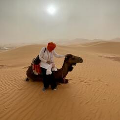 Considering The Camel