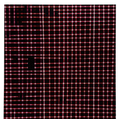 Plaid 7 (red paranoia)