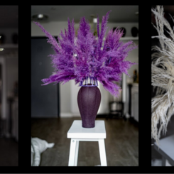 Studio Archive & Material Practice