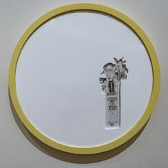 peux-je le voir? in Cannes.