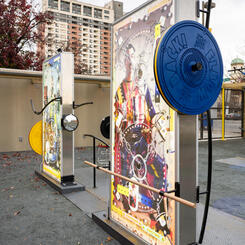 Double sided Light Box