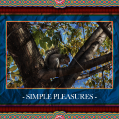 A poster of a squirrel I created as a background asset