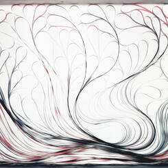 Discard 5 (Enoch Pratt Library, Baltimore, MD)