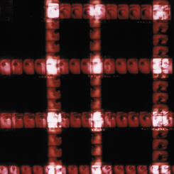Plaid 7 (red paranoia), detail