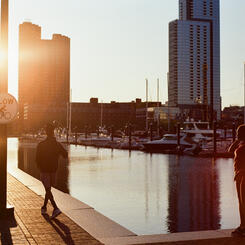 Setting on the Water