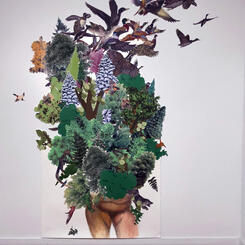 Country A Wilderness Unsubdued