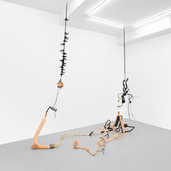 Low Hanging Fruit Installation