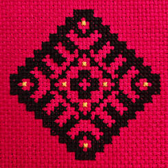 Ukrainska Vyshyvanka #5