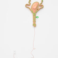 Speculative Speculum