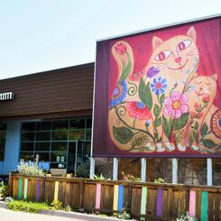 Flower Connection on Display 2020