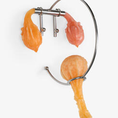 End of Day (Bottle Holder)