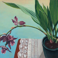 Still life with Purple Orchid