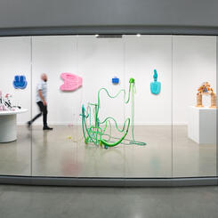 Toning Systems Installation Shot