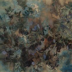 Abundance of Cosmos 1