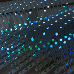 Site and Scope, detail