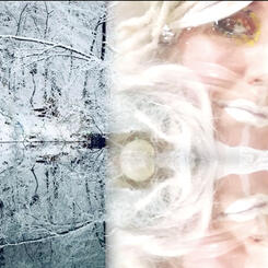 overlay forest snow home gallery performance CHORA by Ruth Margraff