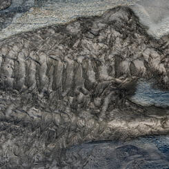 Glacial Silt Deposited Beneath the Bridge (2021)