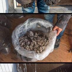 Qiviut Workshop (2021)