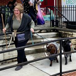 Rocks Ant Tar and friends