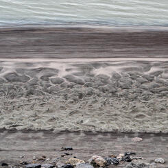 Glacial Silt, Riverbank (2022)