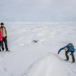 Guide Photographing Tourists on the Greenland Ice Sheet (2023)