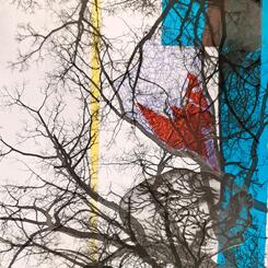 Plastic Trees Untitled