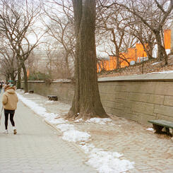 Central Park, New York, NY 2005