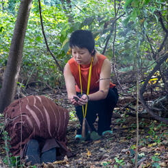 I am a tree in your life