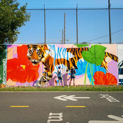 DC Walls 2021, In Progress