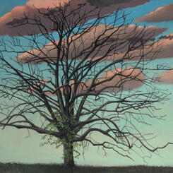 Surreal Walnut Tree