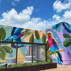 455 Massachussetts Ave Rooftop, Full Mural