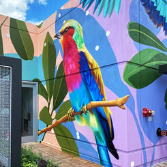 455 Massachussetts Ave Rooftop, Right Bird