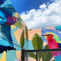 455 Massachussetts Ave Rooftop, Corner